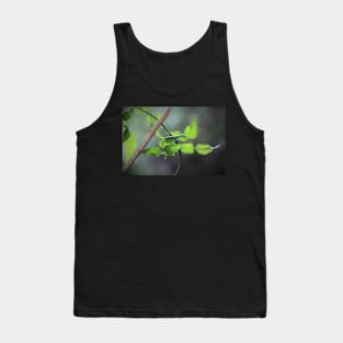 Green and Grey Tank Top